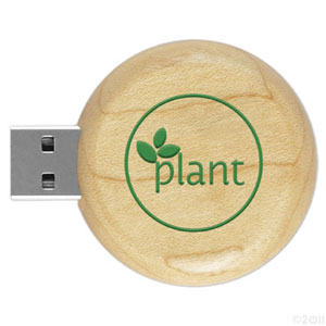 PZW210 Wooden USB Flash Drives